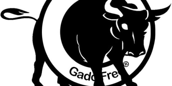 Imagem do grupo de WhatsApp Gado Free®