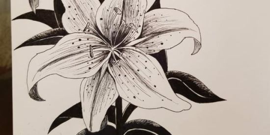 Imagem do grupo de WhatsApp Amor Pela Arte!✨🌄