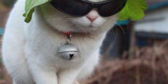 Imagem do grupo de WhatsApp 🔥 ғɪɢᴜʀɪɴʜᴀs 🔥