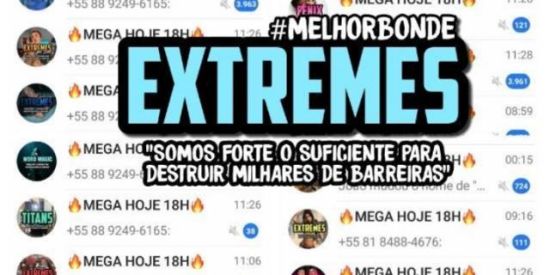 Imagem do grupo de WhatsApp 🐻Recrutamento ♚Gσx'ร♚🐻