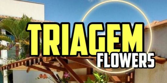 Imagem do grupo de WhatsApp 🌵Triagem 『Fw’s』🌵