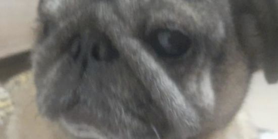 Imagem do grupo de WhatsApp Pode quase tudo