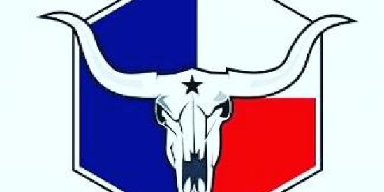 Imagem do grupo de WhatsApp Texas_country#PR