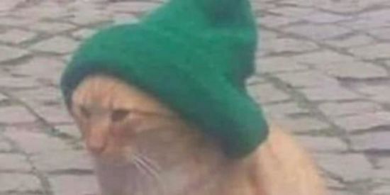 Imagem do grupo de WhatsApp RINHA DE E-GIRLS😔👉👈❤️