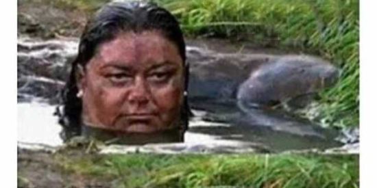 Imagem do grupo de WhatsApp Ax fofocasx quentes