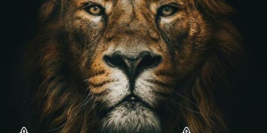 Imagem do grupo de WhatsApp 4° | ༒мєgα_ρσωєr༒