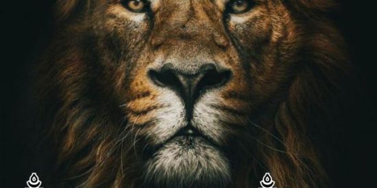 Imagem do grupo de WhatsApp 5° | ༒мєgα_ρσωєr༒