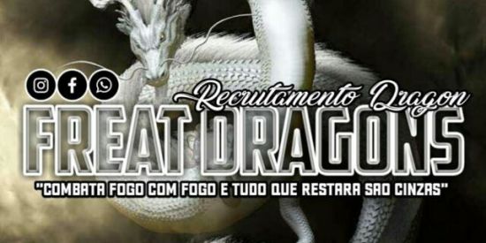 Imagem do grupo de WhatsApp •Rᴇᴄʀᴜᴛᴀᴍᴇɴᴛᴏ Dʀᴀɢᴏɴ•
