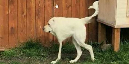 Imagem do grupo de WhatsApp Pobres mortais