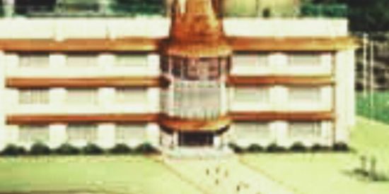 Imagem do grupo de WhatsApp 📝❄️Academia de Shimogakure❄️📝