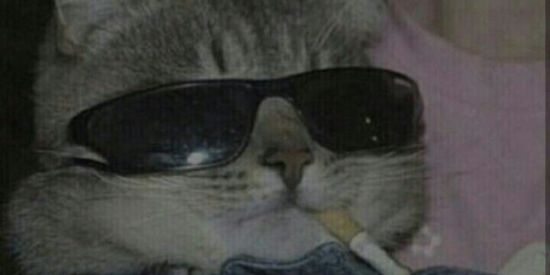 Imagem do grupo de WhatsApp 👽🔥FIGURÍNHAS 🔥👽