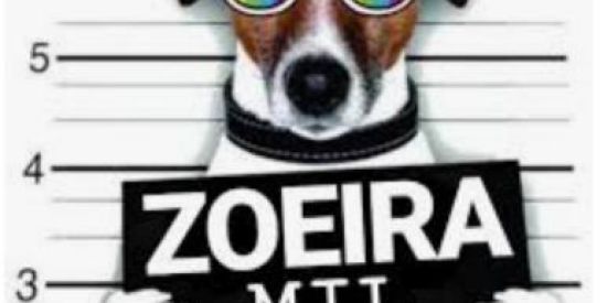 Imagem do grupo de WhatsApp 100 freio