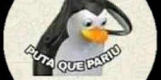 Imagem do grupo de WhatsApp Figurinhas 3.0