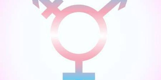 Imagem do grupo de WhatsApp Namoro trans e travestis