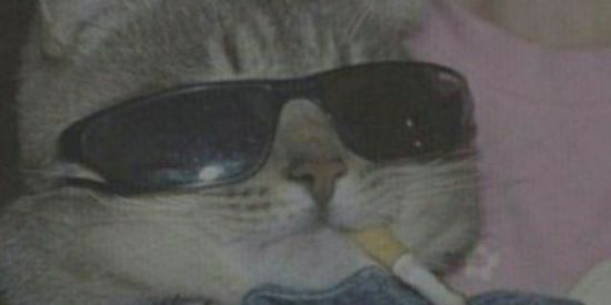 Imagem do grupo de WhatsApp Figurinhas ou ban