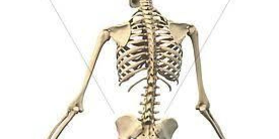 Imagem do grupo de WhatsApp Grupo shitpost