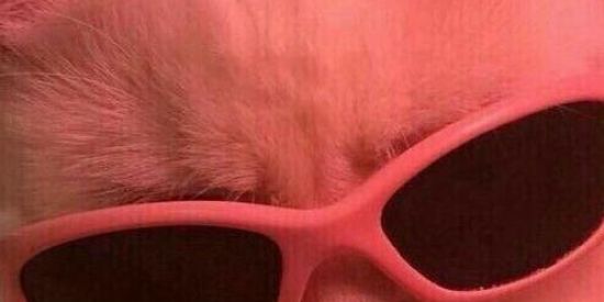 Imagem do grupo de WhatsApp bonde glow