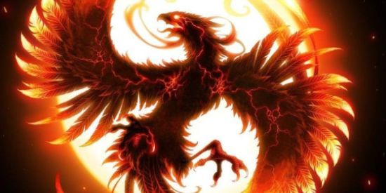 Imagem do grupo de WhatsApp 🔥-Fenix-Anime-⛩️