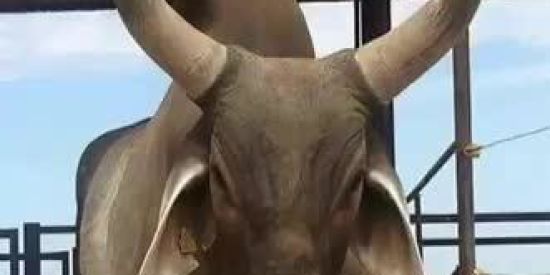 Imagem do grupo de WhatsApp Os cornos