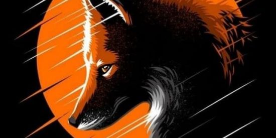 Imagem do grupo de WhatsApp 🦊Projeto fox White🇧🇷