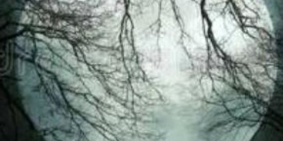 Imagem do grupo de WhatsApp 🌒THE  DARK  WORLD🌑 (RPG)