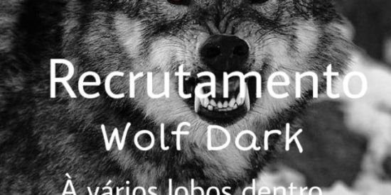 Imagem do grupo de WhatsApp 🐺|Recrutamento 【WD'K】🐺