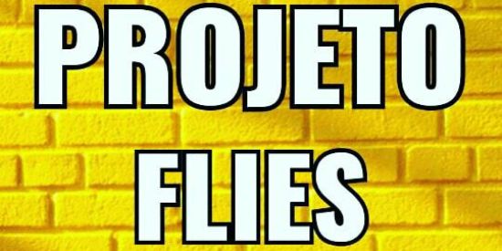 Imagem do grupo de WhatsApp PROJETO FLIES 🚀