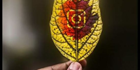 Imagem do grupo de WhatsApp Recrutamento •Ꮤเא•💫