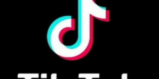 Imagem do grupo de WhatsApp Trocas de seguidores tik tok🙃