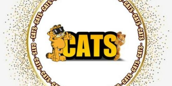 Imagem do grupo de WhatsApp Recrutamento lc's