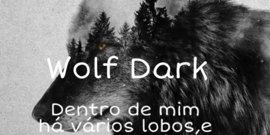 Imagem do grupo de WhatsApp 🐺Recrutamento 【WD'K】🐺