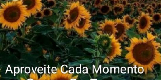 Imagem do grupo de WhatsApp Multirão As 00HR