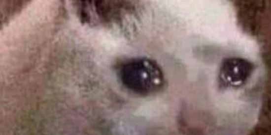 Imagem do grupo de WhatsApp Gato triste ;-;