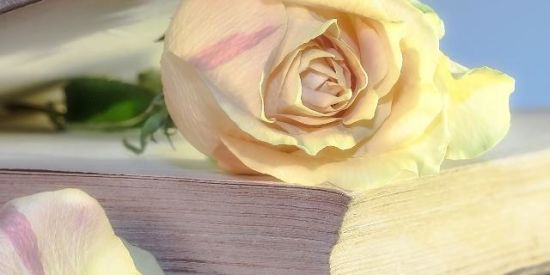 Imagem do grupo de WhatsApp Vip emagrecimento😍😍😍