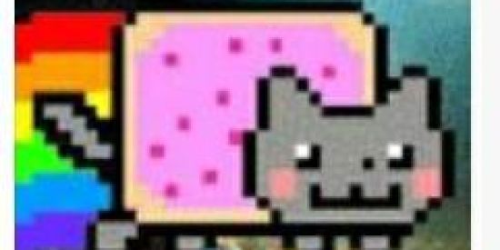 Imagem do grupo de WhatsApp Quem Manda é nois