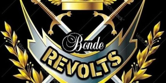 Imagem do grupo de WhatsApp SELEÇÃO DA BANCA  ✦Rѵ'ร✦⚜️