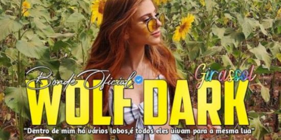 Imagem do grupo de WhatsApp GANHAR SEGUIDORES 👥💯