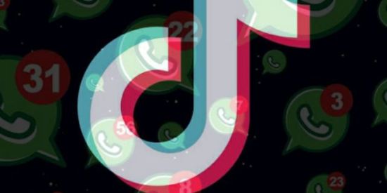 Imagem do grupo de WhatsApp TIK TOK DIVULGAÇÃO