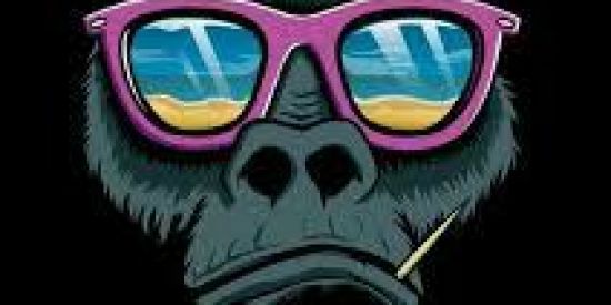 Imagem do grupo de WhatsApp ZUEIRA & COMPANY