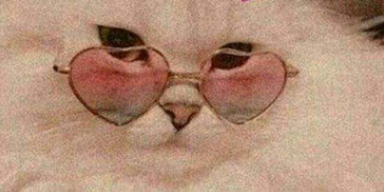 Imagem do grupo de WhatsApp Grupo de gente boa