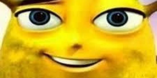 Imagem do grupo de WhatsApp shitpost de igrejajkkkkkkk