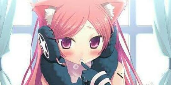 Imagem do grupo de WhatsApp Shit Post 1.0