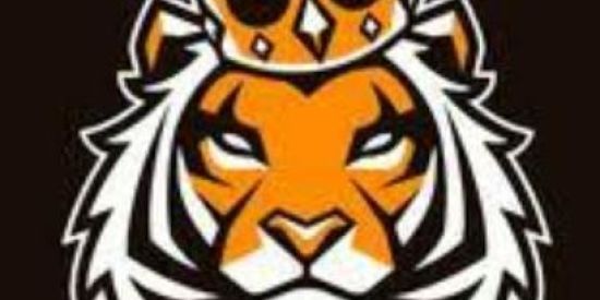 Imagem do grupo de WhatsApp 1Projecto followers ​