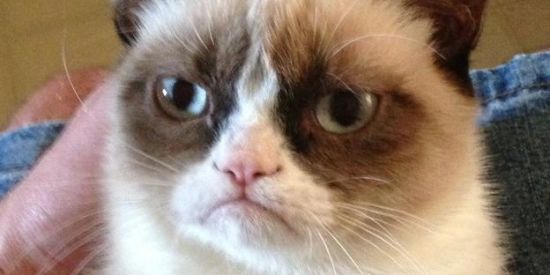 Imagem do grupo de WhatsApp Boh sai do tédio