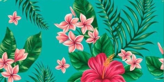 Imagem do grupo de WhatsApp Strap-on (inversão)