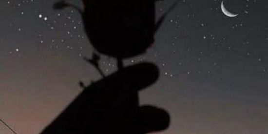 Imagem do grupo de WhatsApp •|ᴘʀᴏᴊᴇᴛᴏ ᴇsᴛʀᴇʟᴀᴅx|•