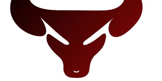 Imagem do grupo de WhatsApp SINAS DE SUCESSO FREE📉