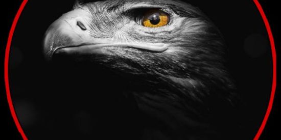 Imagem do grupo de WhatsApp GANHAR DINHEIRO