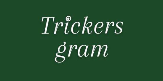 Imagem do grupo de WhatsApp Trickersgram 🇧🇷