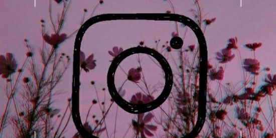 Imagem do grupo de WhatsApp °projeto sweetener°🥀